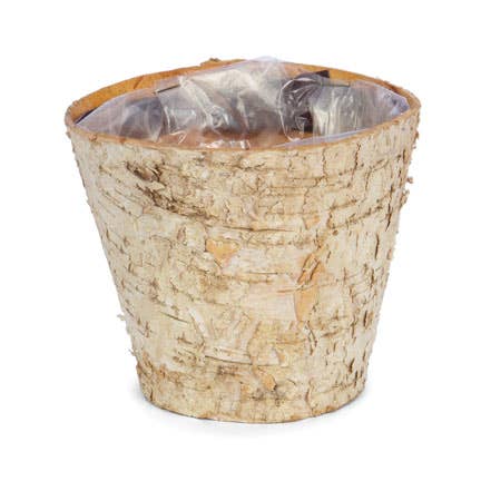 Round Birch Planter Floral Display