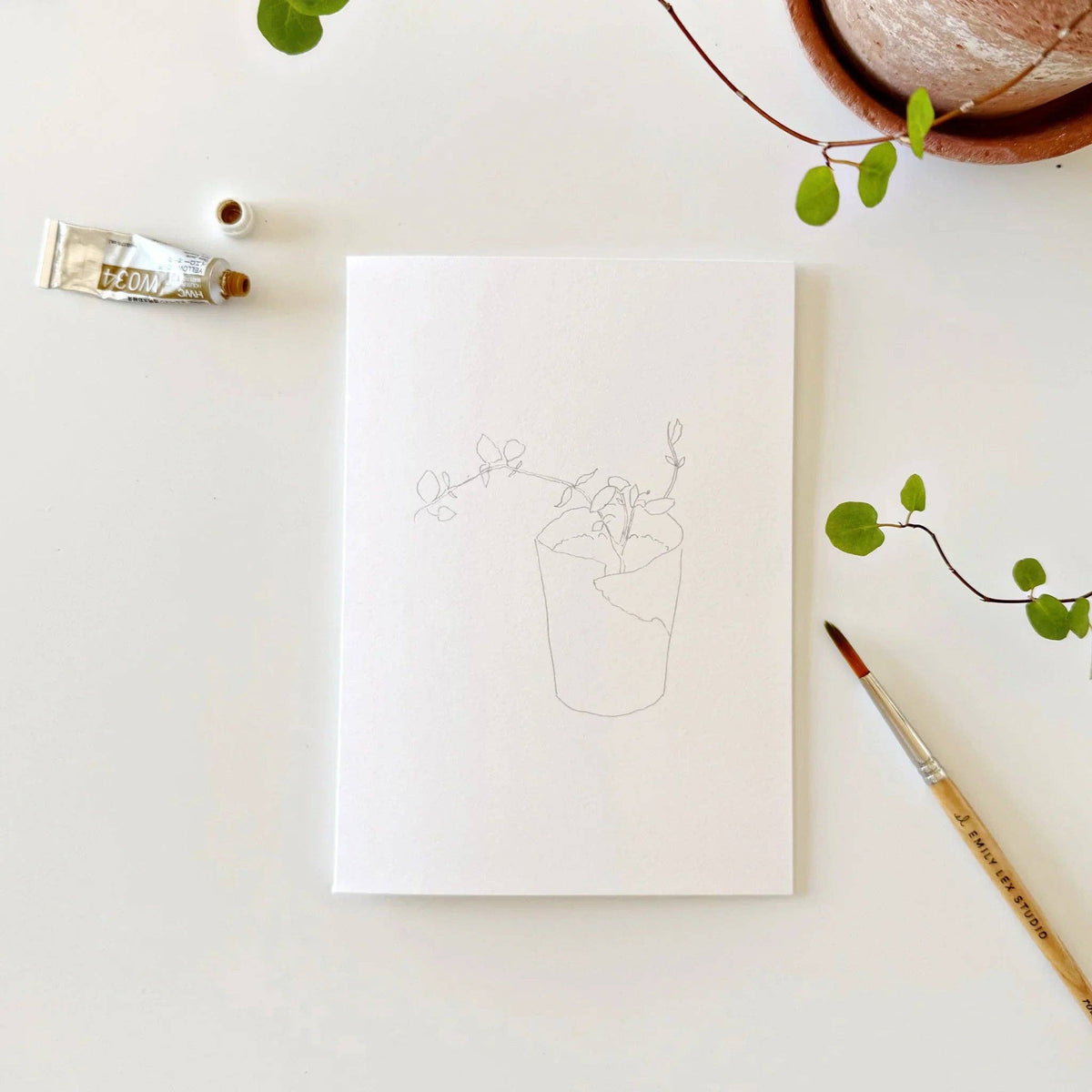 Potted plants paintable watercolor notecard set