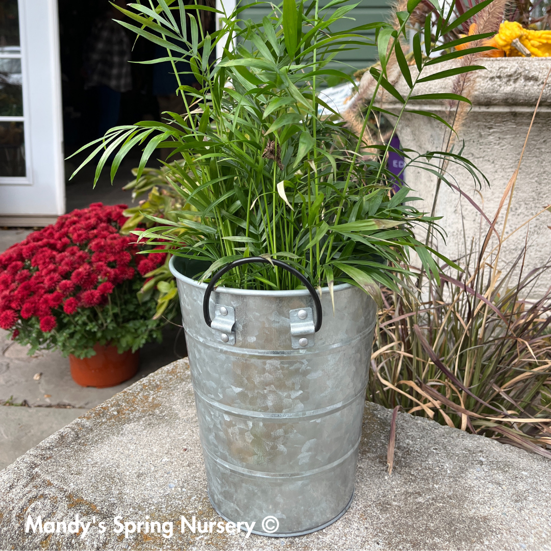 Aged Galvanized Silo Bin Planter