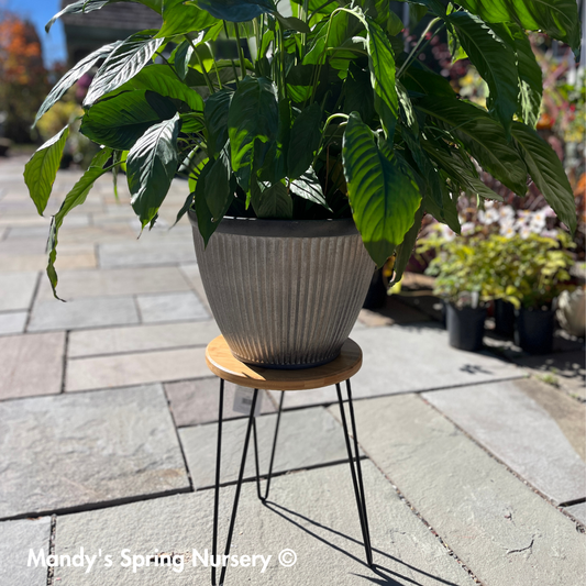 Mid Century Plant Stand