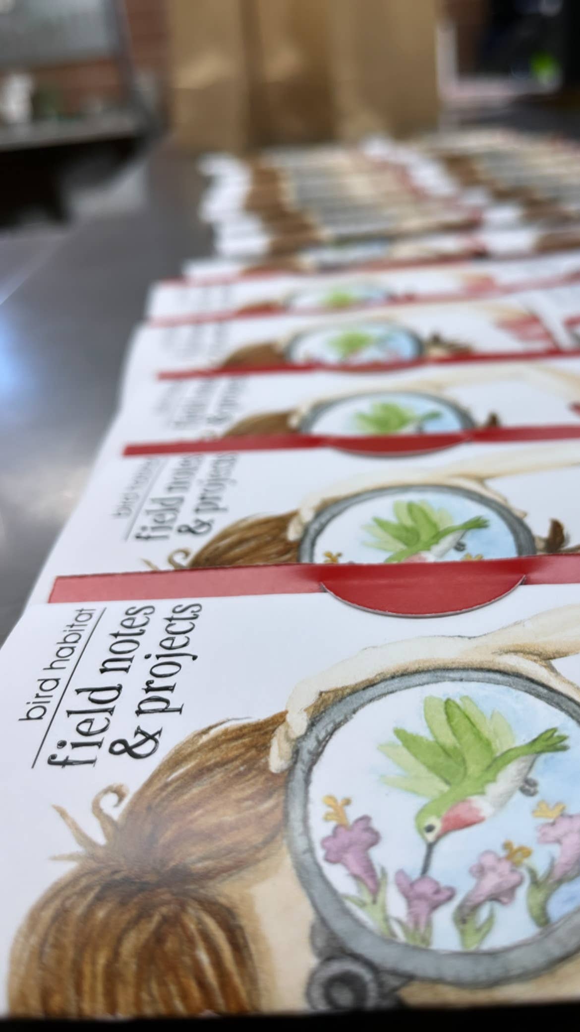 Kids Scatter Garden | Bird Habitat | Holiday Learning Gift