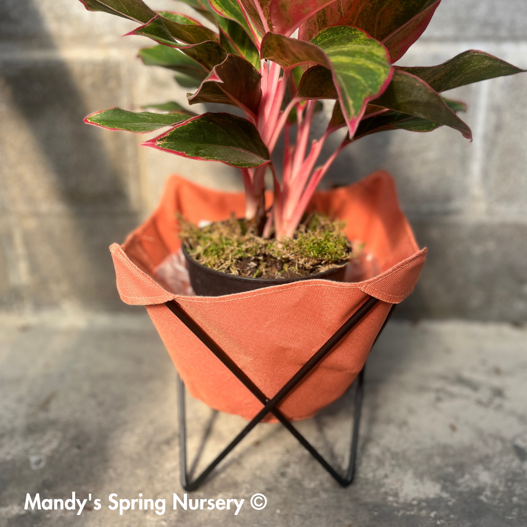 Butterfly Sling Planter