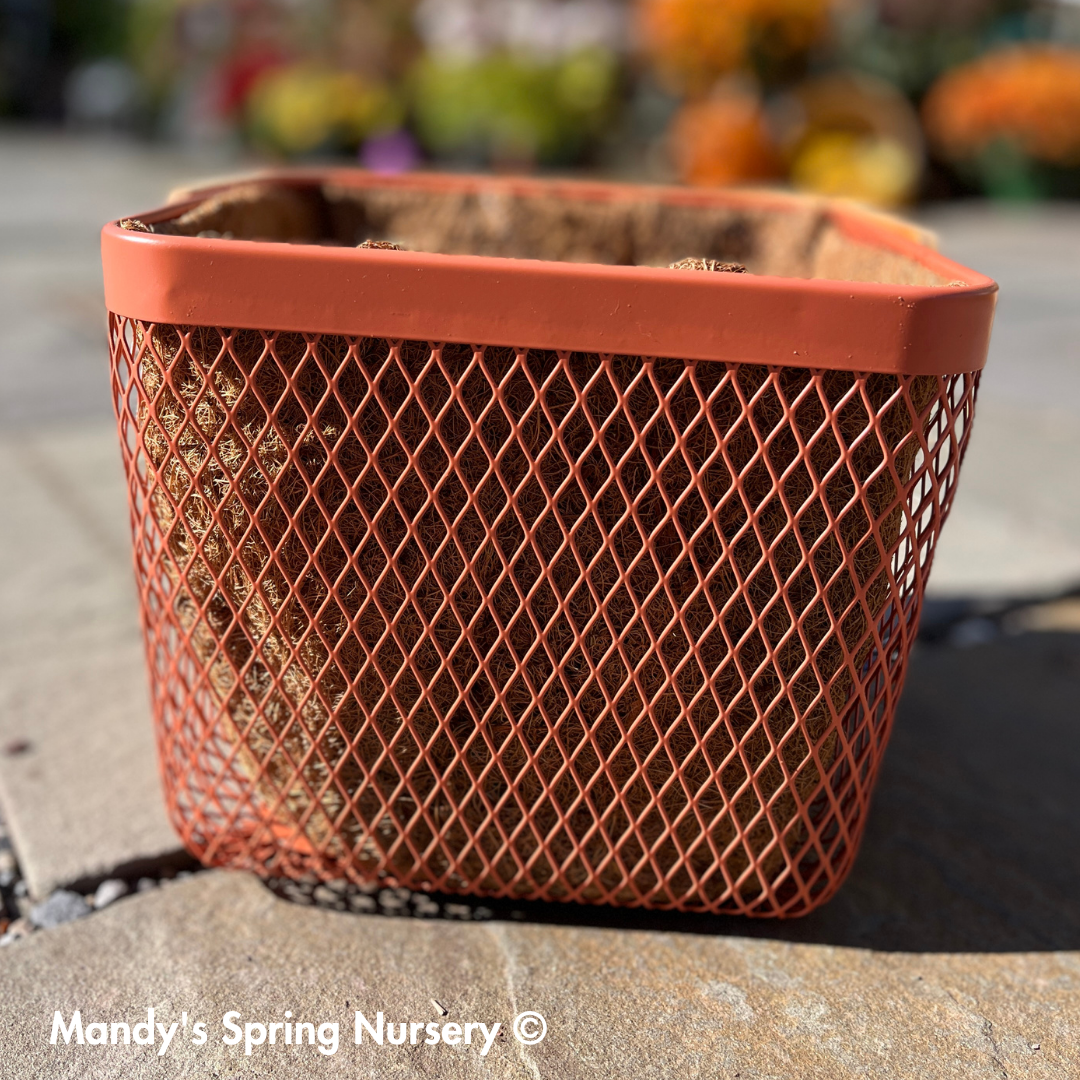 Square Planter w/ Bamboo Handle & Liner