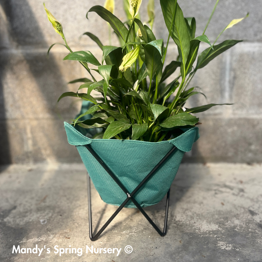 Butterfly Sling Planter