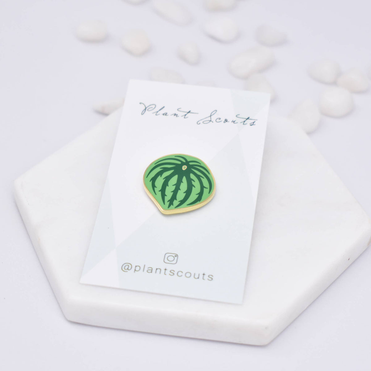 Watermelon Peperomia Plant Enamel Pin