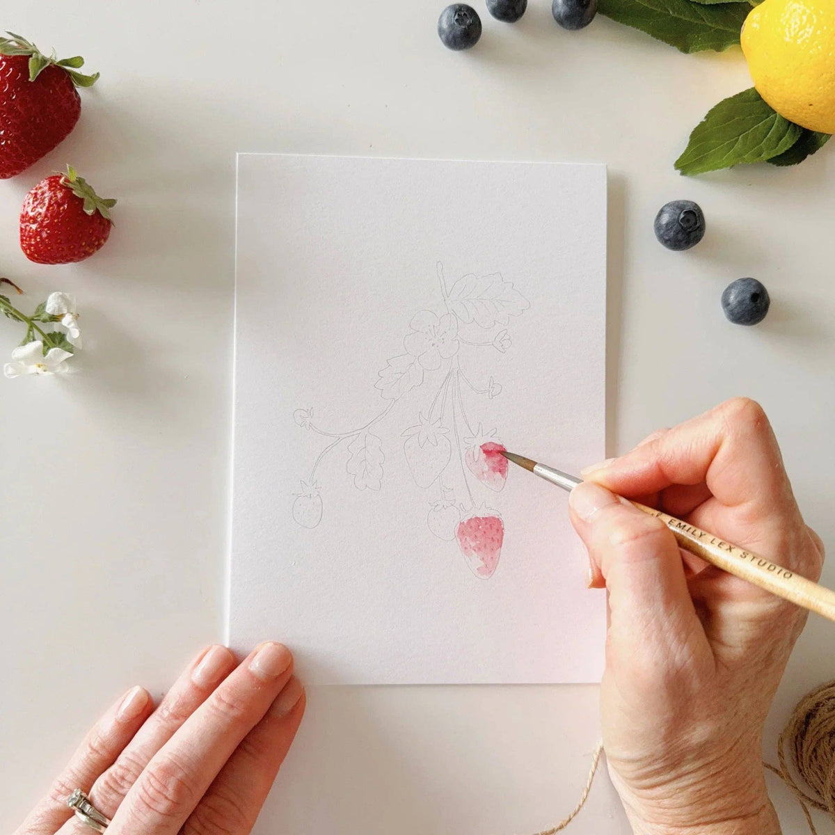 Fruit paintable watercolor notecard set