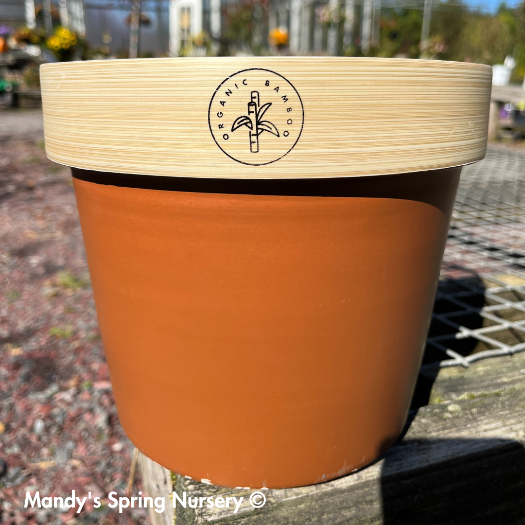 Bamboo Flower Pot