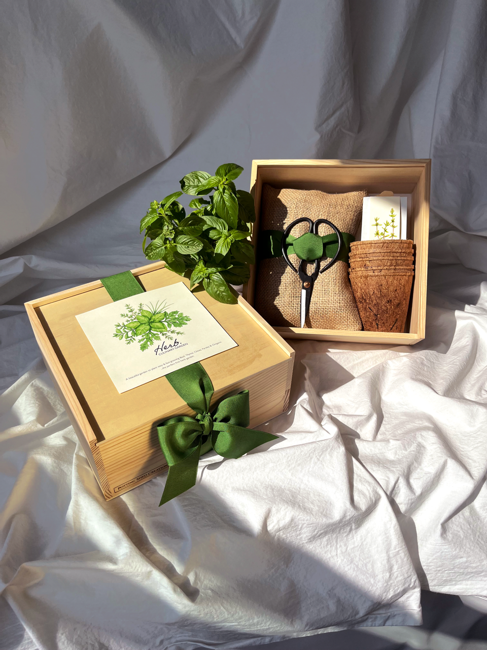 Flower Cutting Garden Box - Mixed Zinnia