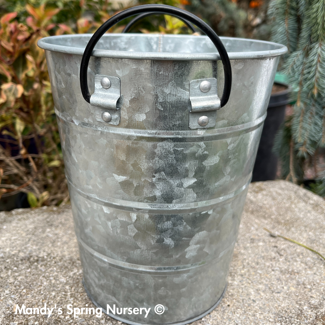 Aged Galvanized Silo Bin Planter