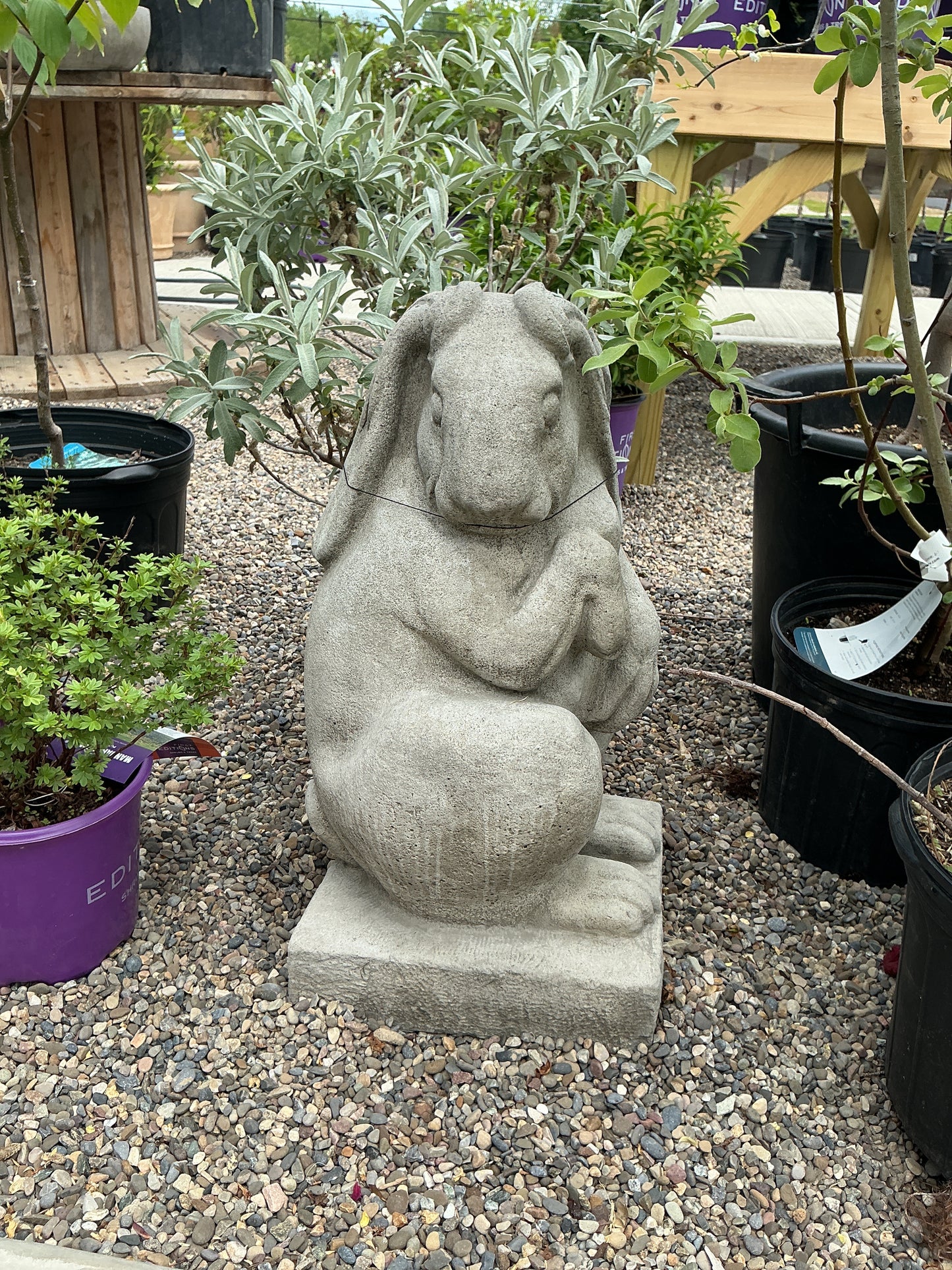 Newport Rabbit Set