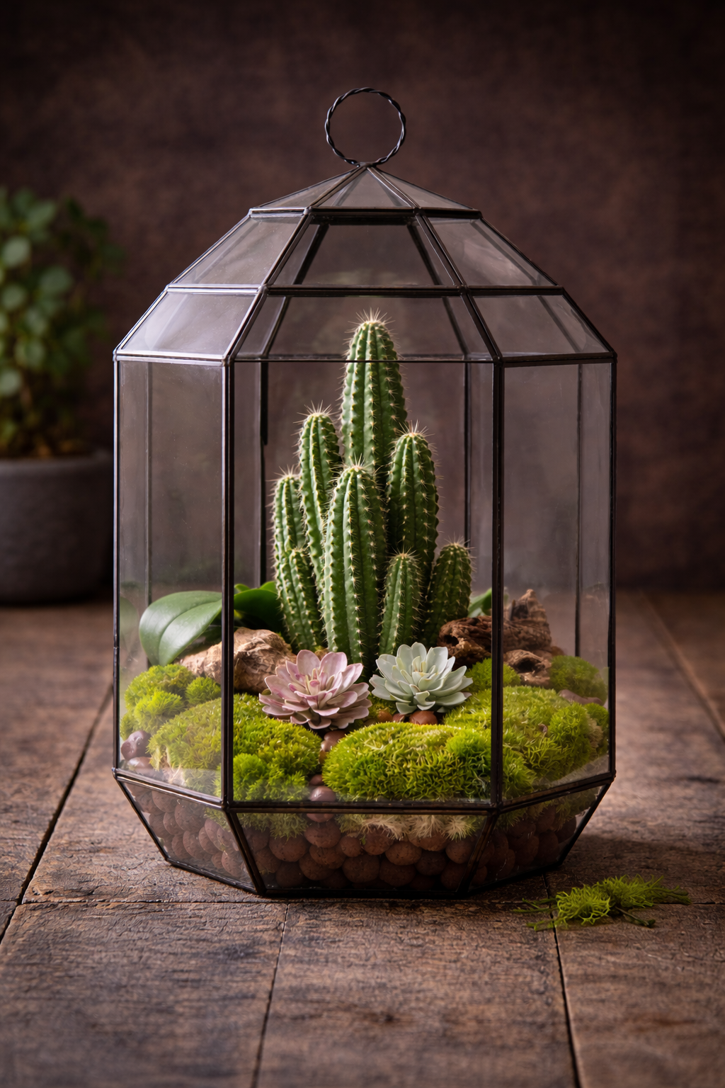 Make Your Own Terrarium Workshop - Feb 19 @ 10 AM @ Canopy Saratoga