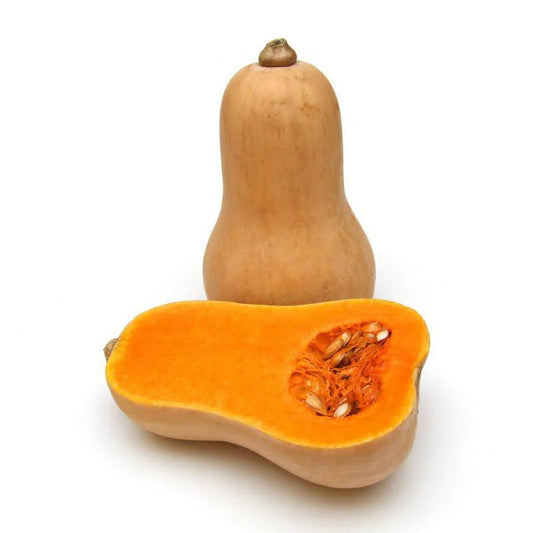 Squash Butternut Waltham ( Heirloom- NON GMO) Seeds