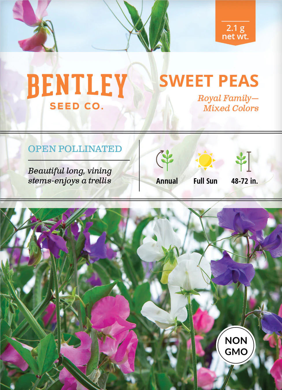 Sweet Peas Royal Family Mixed Colors (NON GMO)