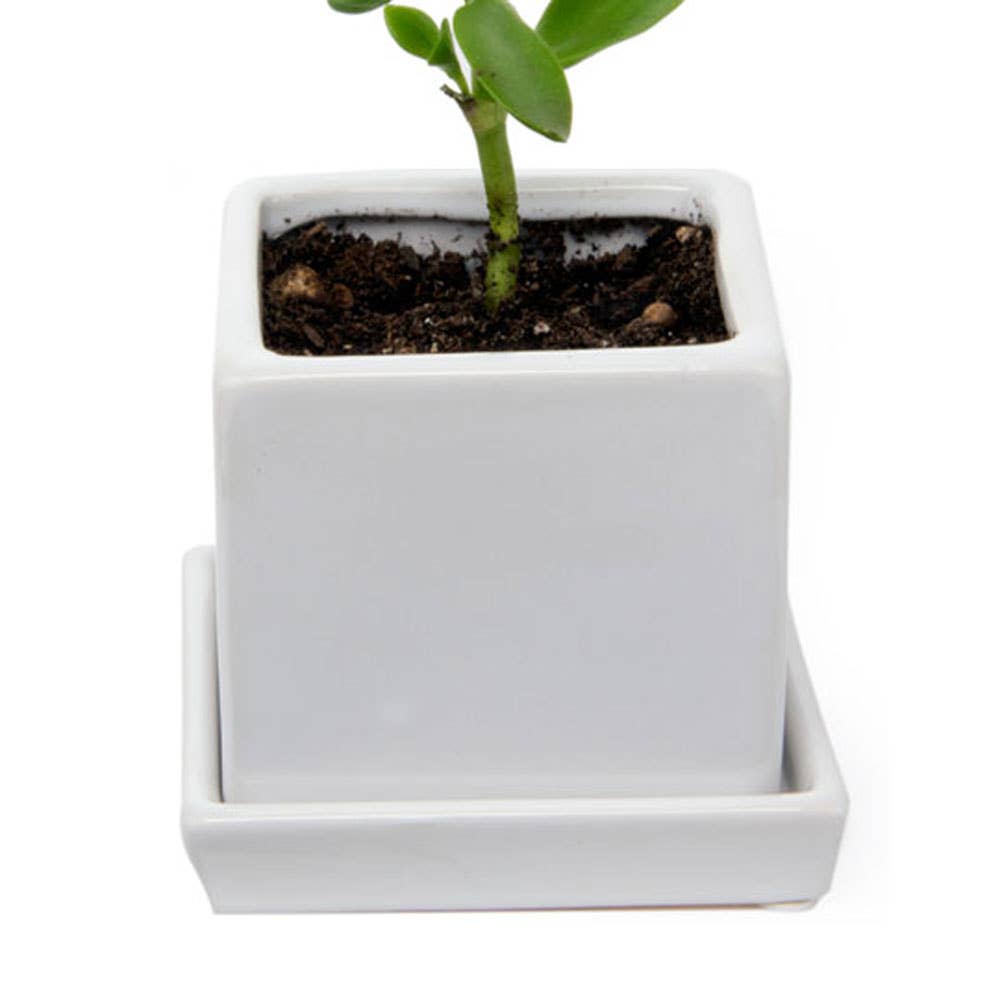 Cube Pot With Saucer And Drainage Hole 60 Plus Colors