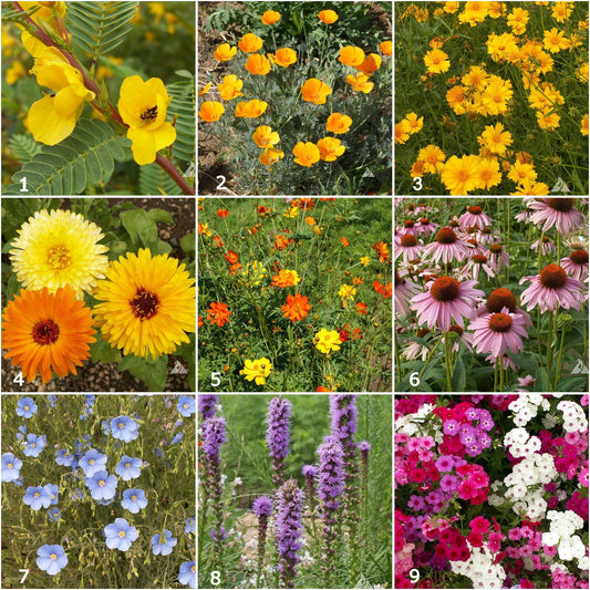 Scatter Garden | Songbird | Bird Lovers | Best Seller