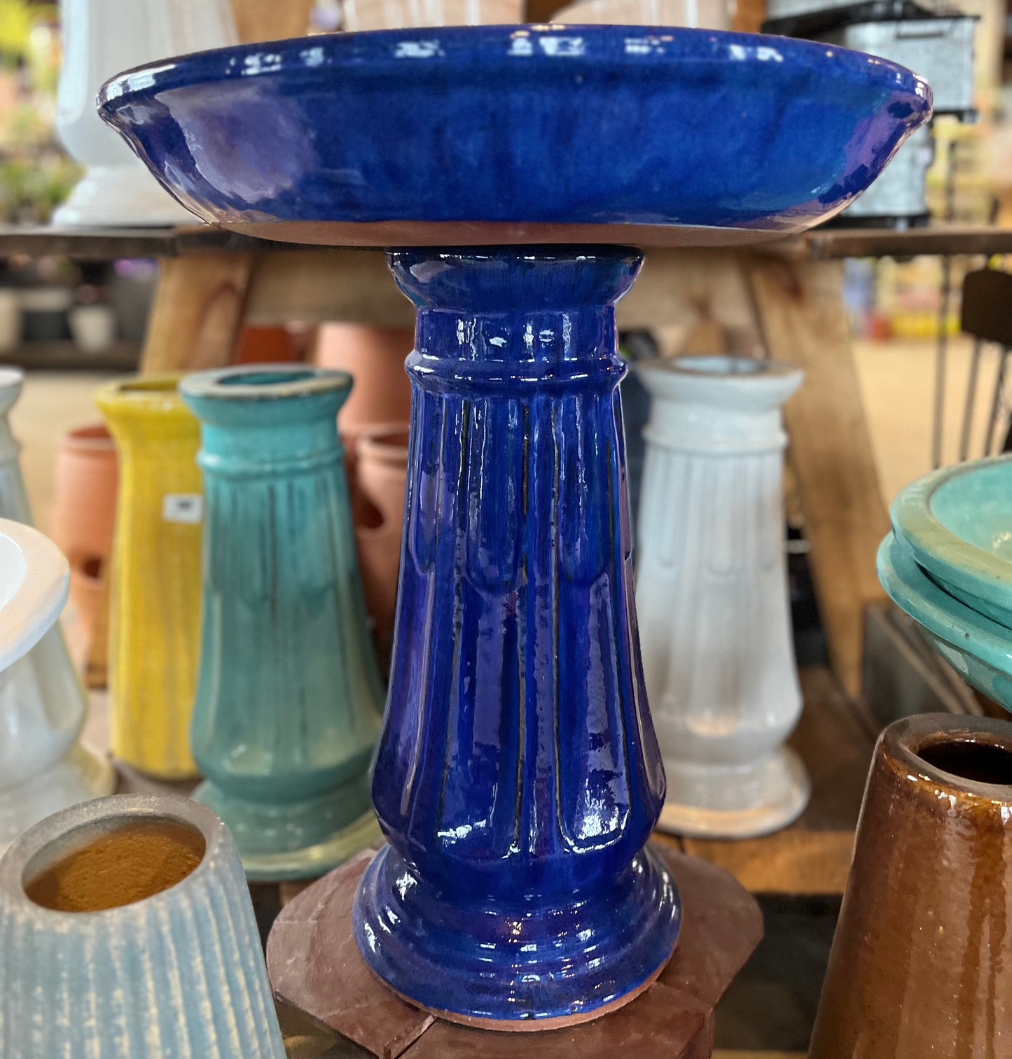 Southern Patio Miami Bird Bath