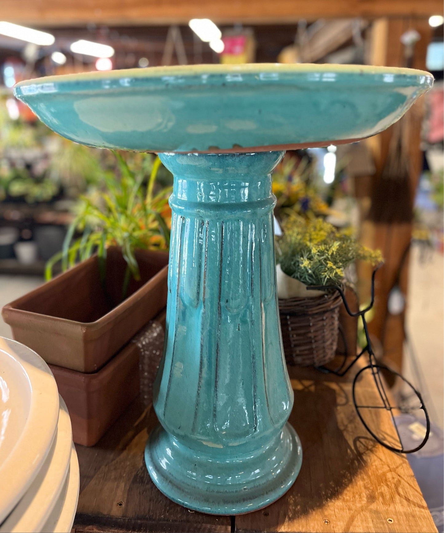 Southern Patio Miami Bird Bath