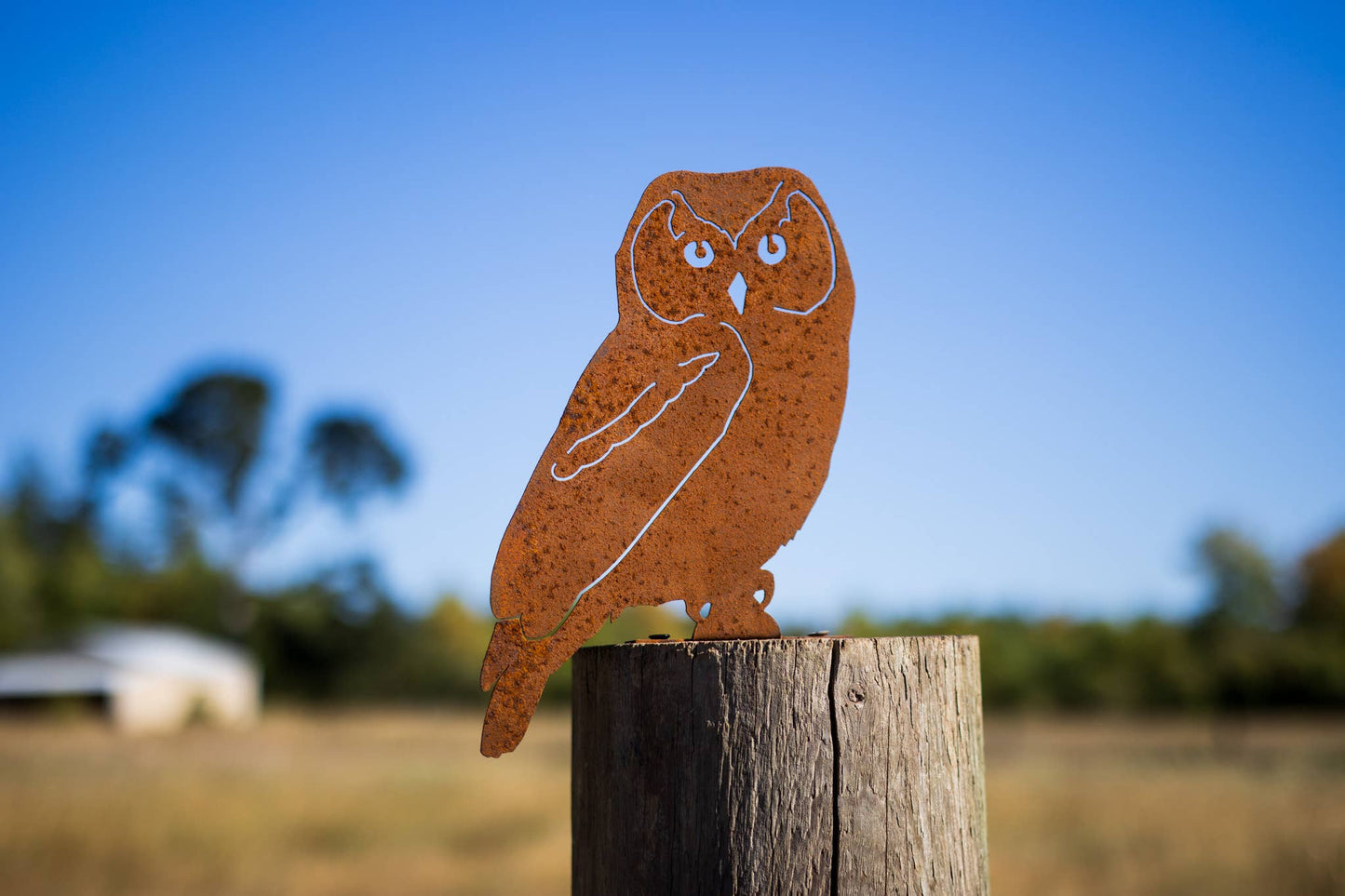 Owl Tab