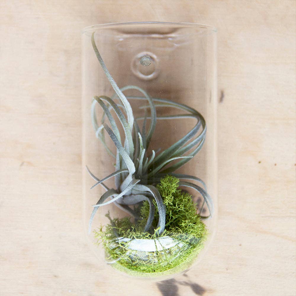Flower Vase Clear Glass With Hole For Wall Mounting