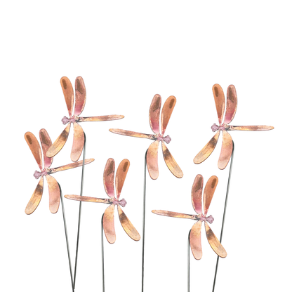 Small Natural Copper Dragonflies