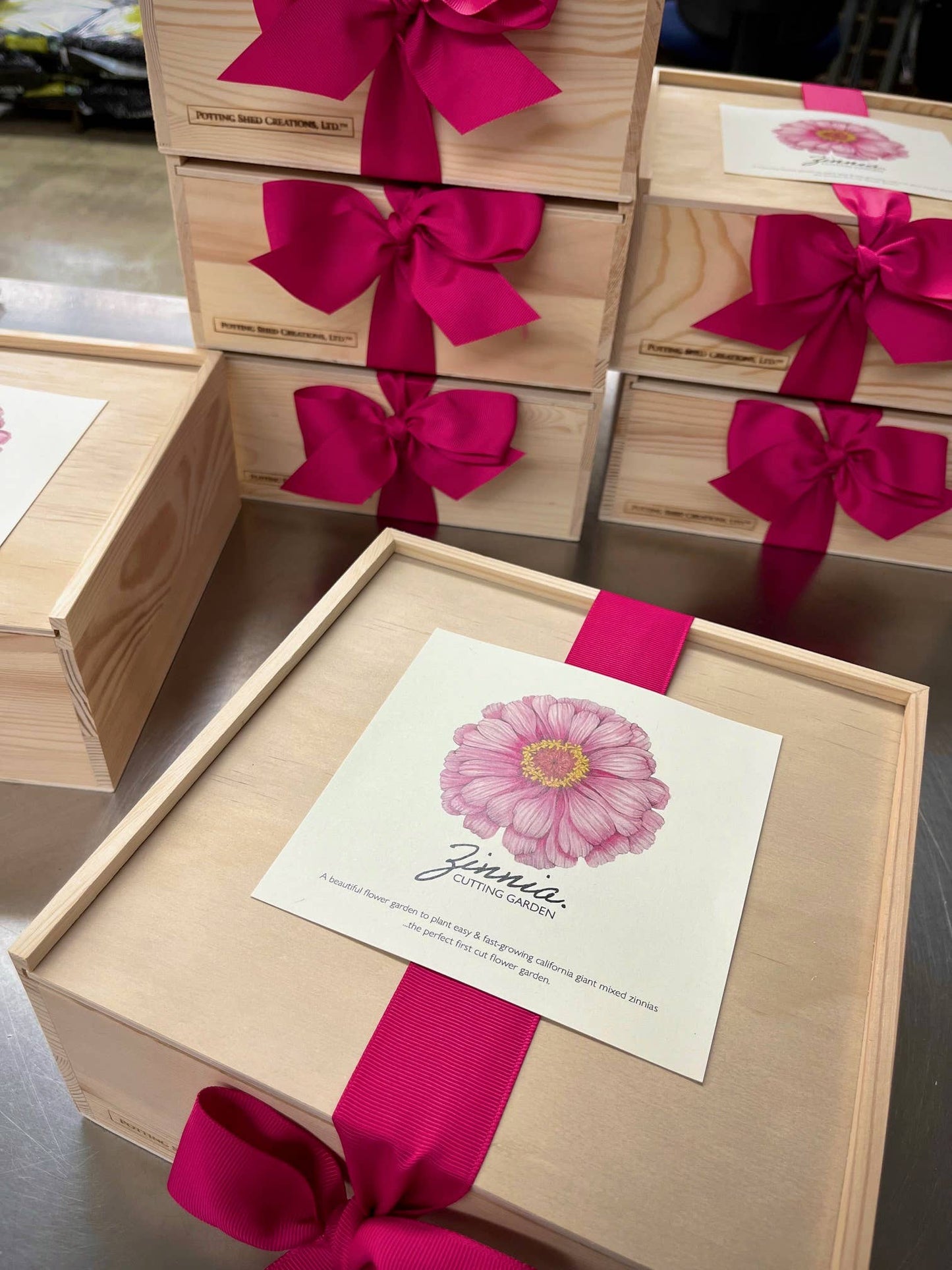 Flower Cutting Garden Box - Mixed Zinnia
