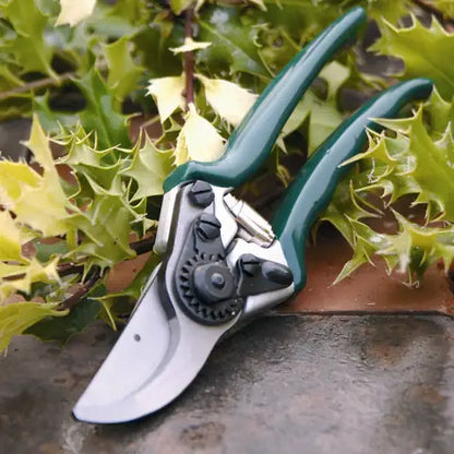 RHS Professional BP Secateur
