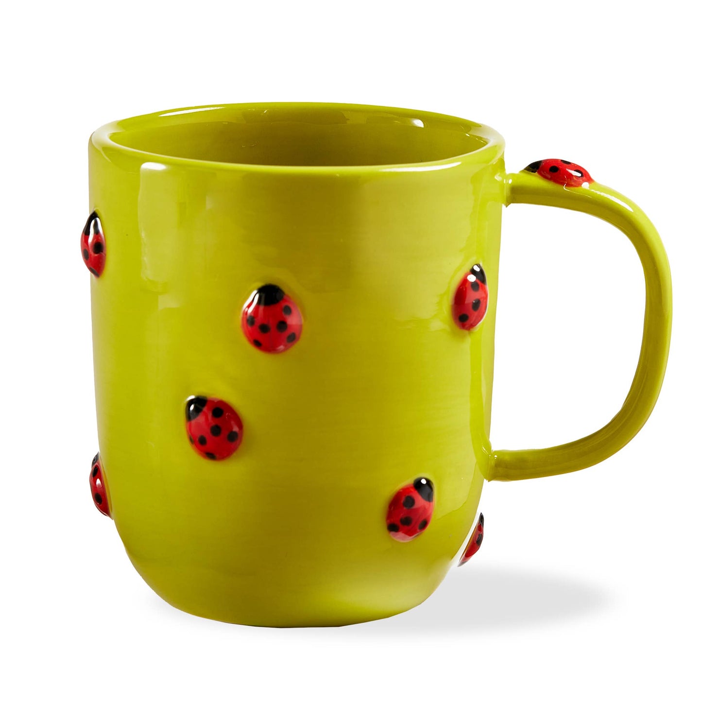Garden Ladybug Mug Green Multi Earthenware Spring
