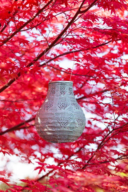 Stella BulbSolar Lantern - Sage