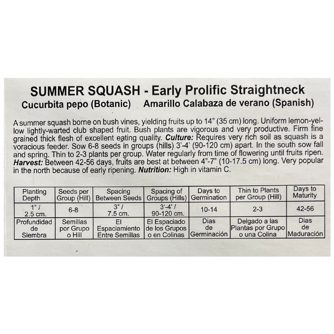 Summer Squash - Early Prolific Straightneck