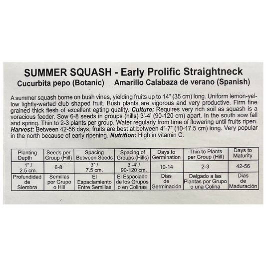 Summer Squash - Early Prolific Straightneck