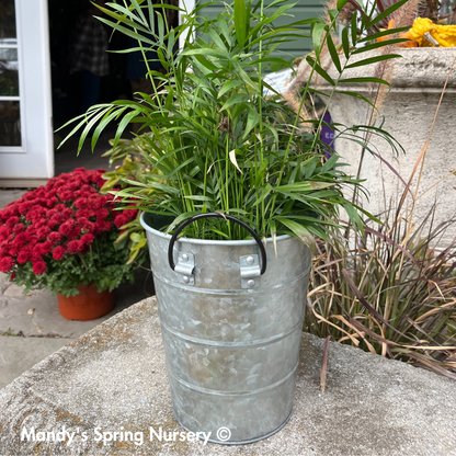 Aged Galvanized Silo Bin Planter