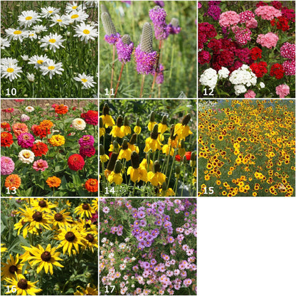 Scatter Garden | Songbird | Bird Lovers | Best Seller