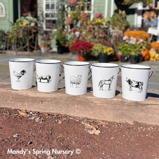 Farm Animal Bucket Planter