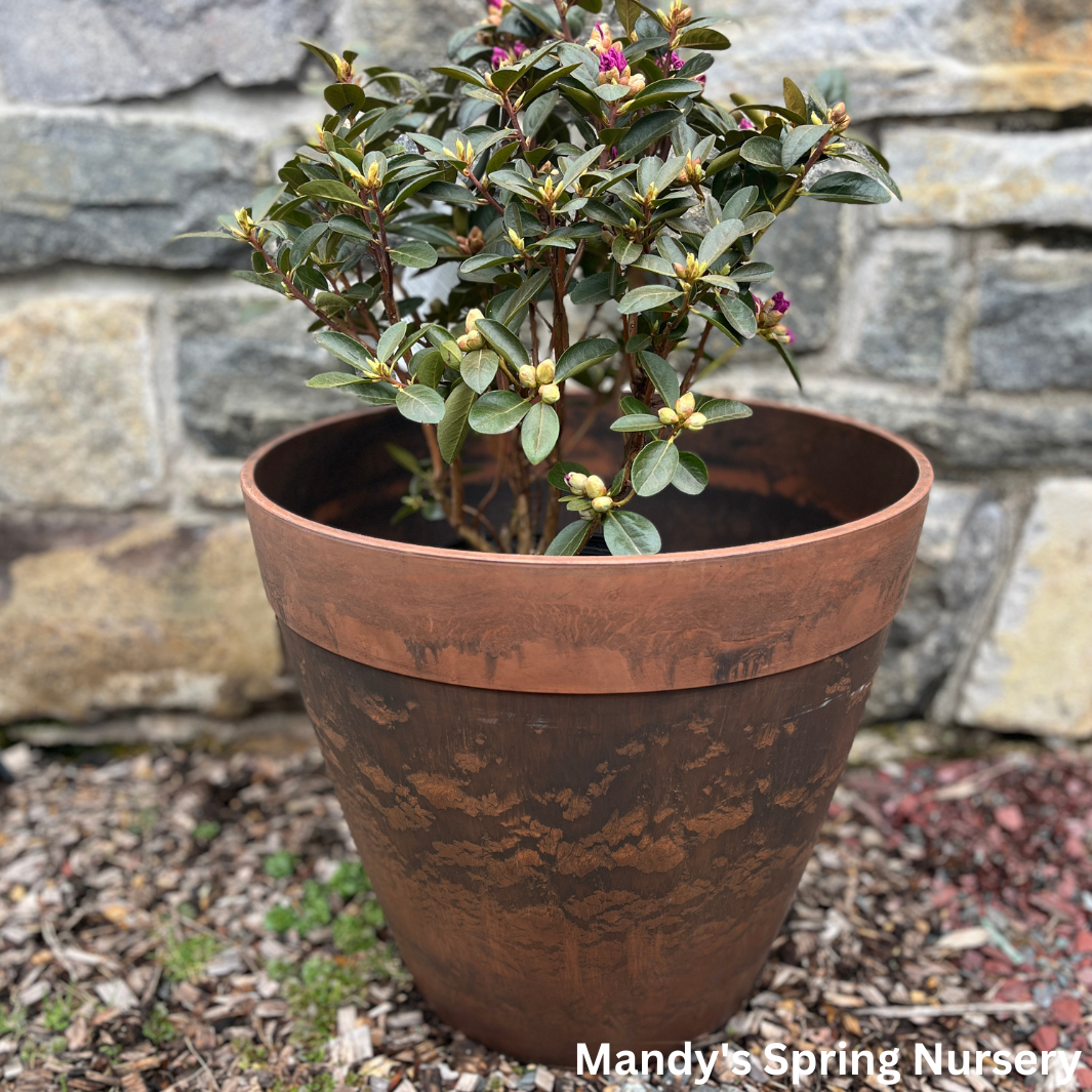 Marbled Terracotta Planter