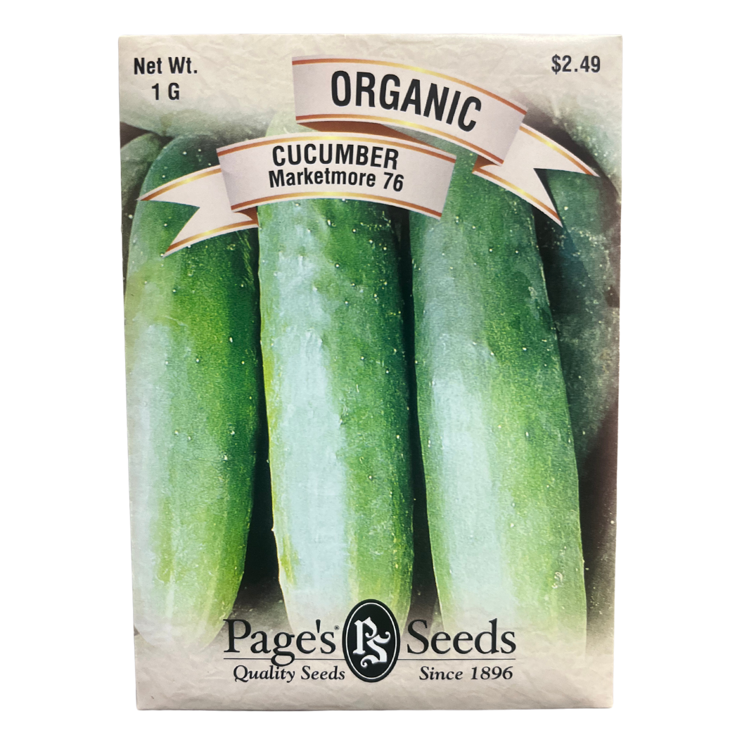 Organic Cucumber - Marketmore (Slicer)