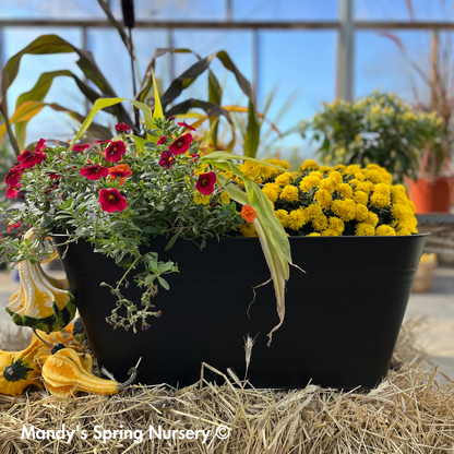 Planter & Beverage Tub