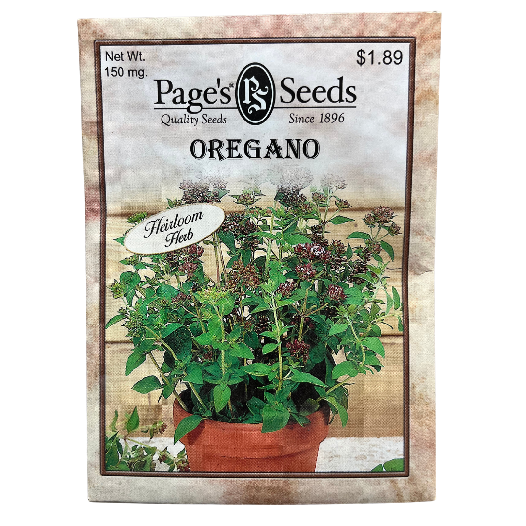 Oregano - Herb Seeds