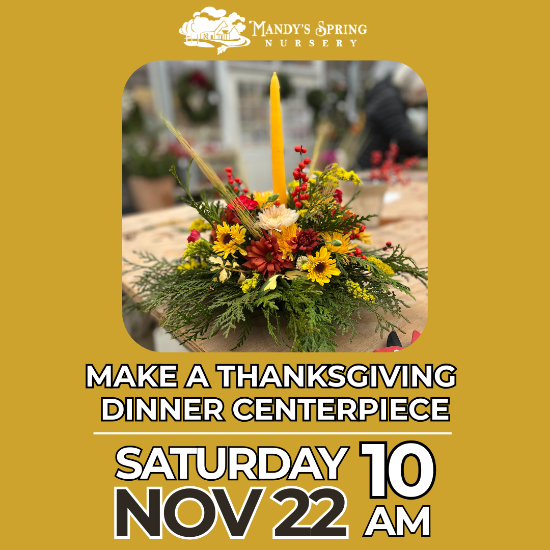 Make Your Own Thanksgiving Centerpiece