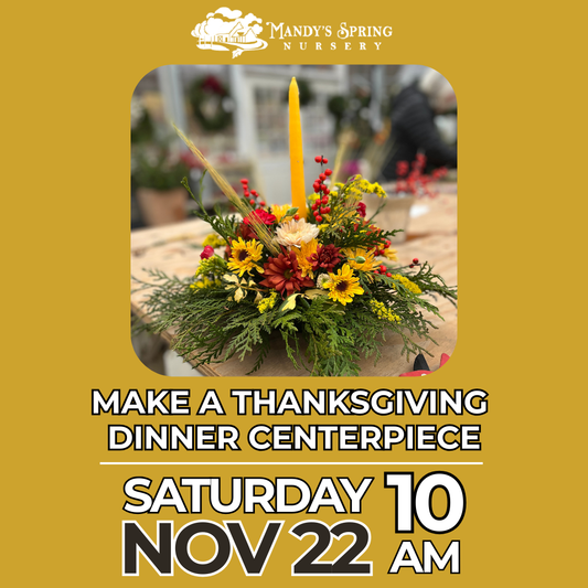 Make Your Own Thanksgiving Centerpiece