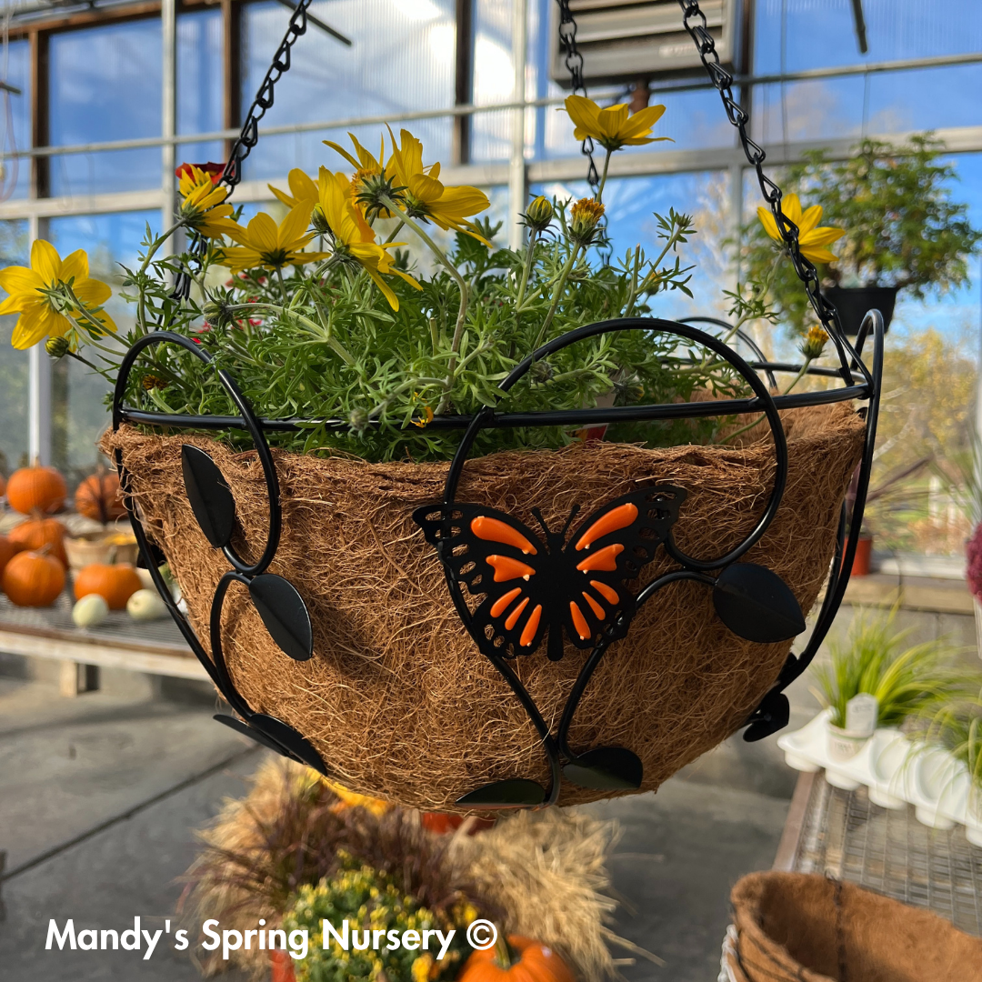 Monarch Butterfly Hanging Basket