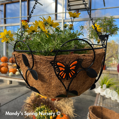 Monarch Butterfly Hanging Basket
