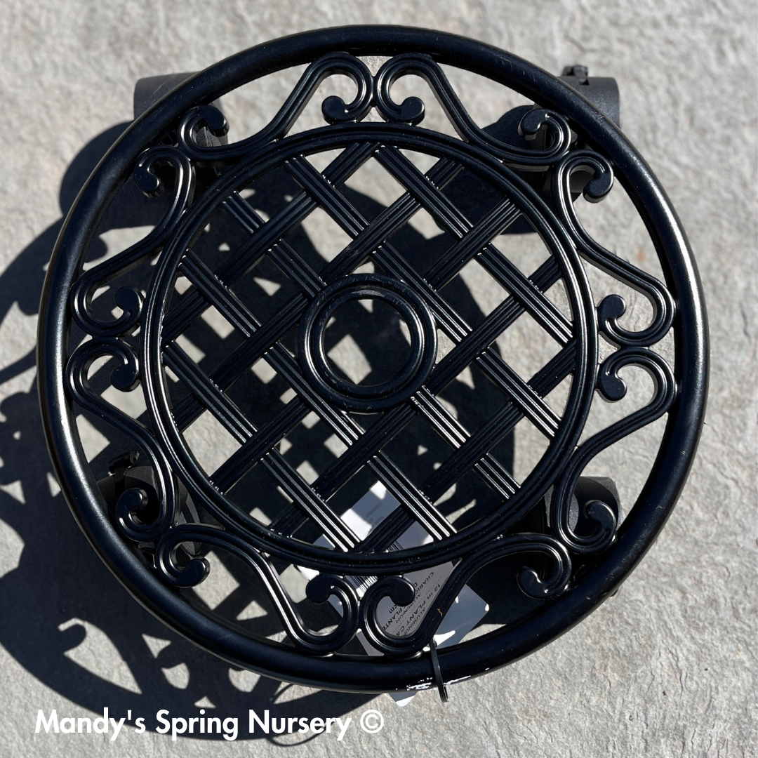 Plant Caddy w/ Wheels