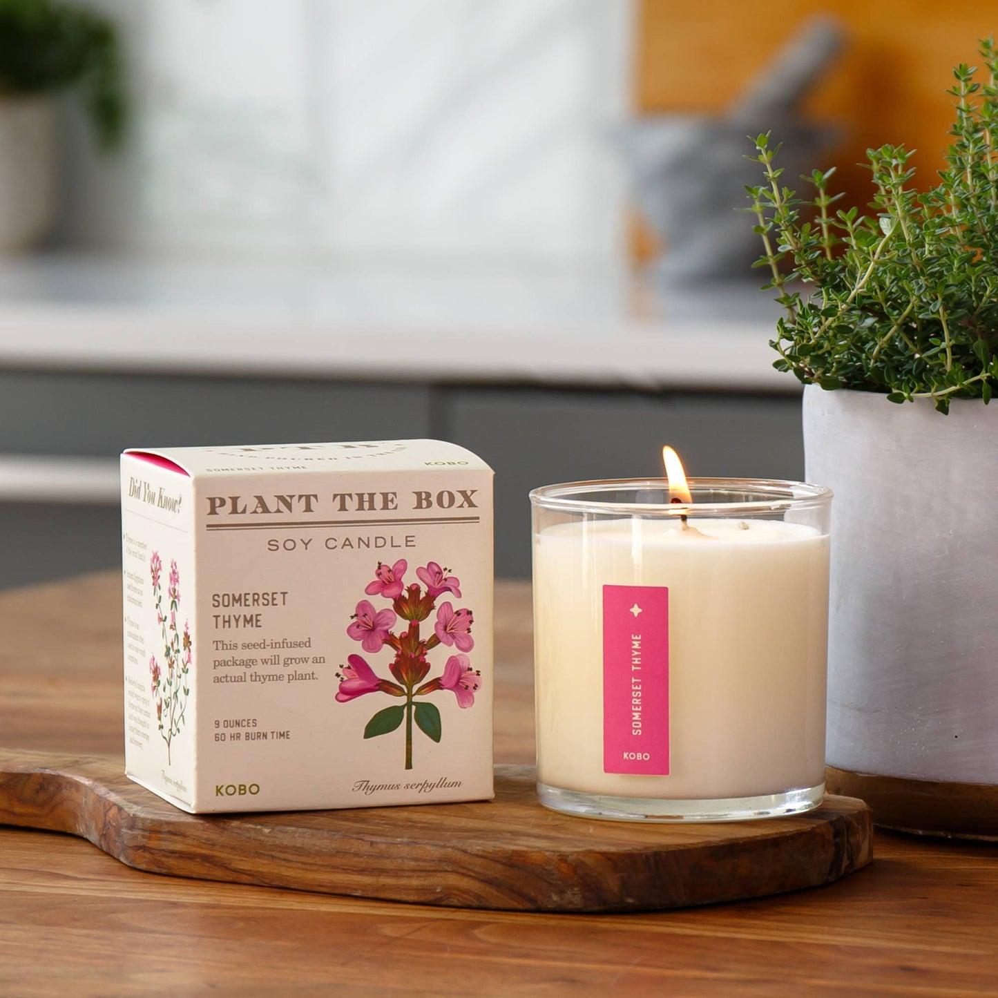 Somerset Thyme - Plant the Box Candle - 9oz.