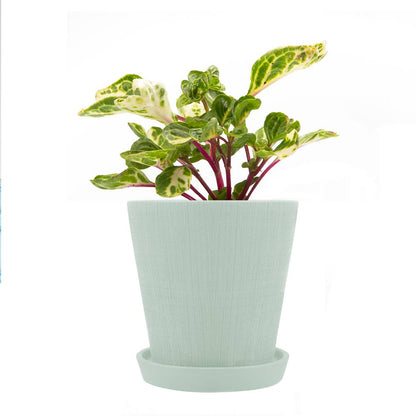 Mick Planter Pots With Drainage Holes Bulk SALE SALE