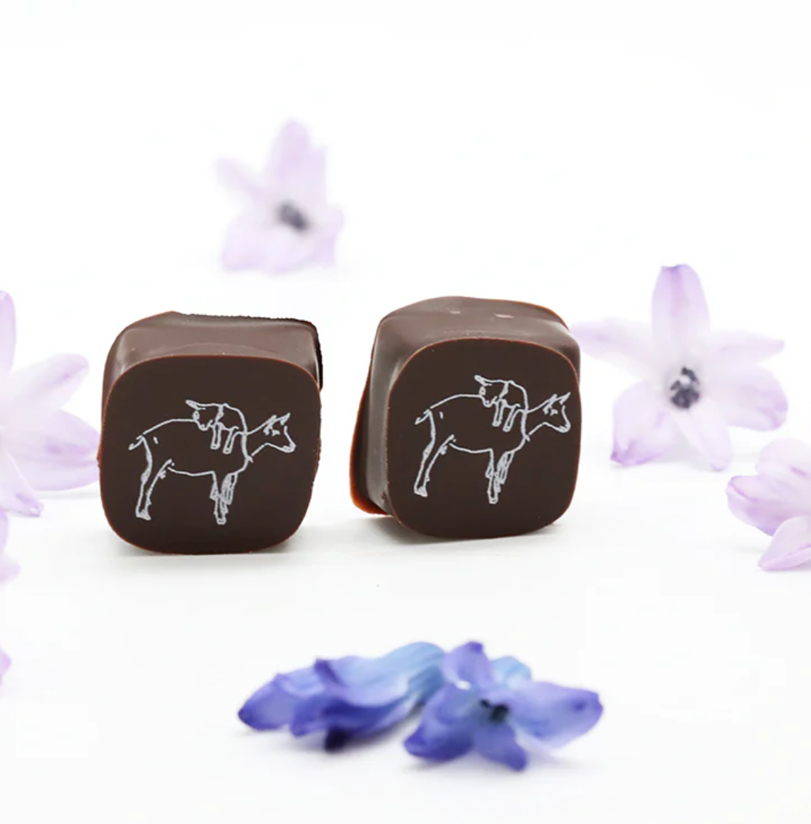 2 Piece Chocolate Covered Caramel Candy Gram