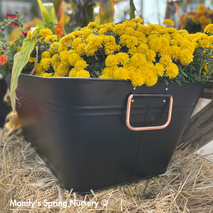 Planter & Beverage Tub