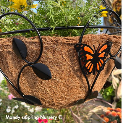 Monarch Butterfly Hanging Basket