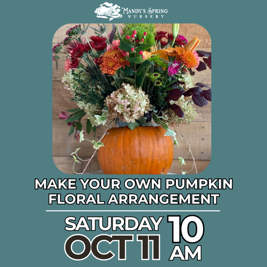Create A Pumpkin Flower Arrangement