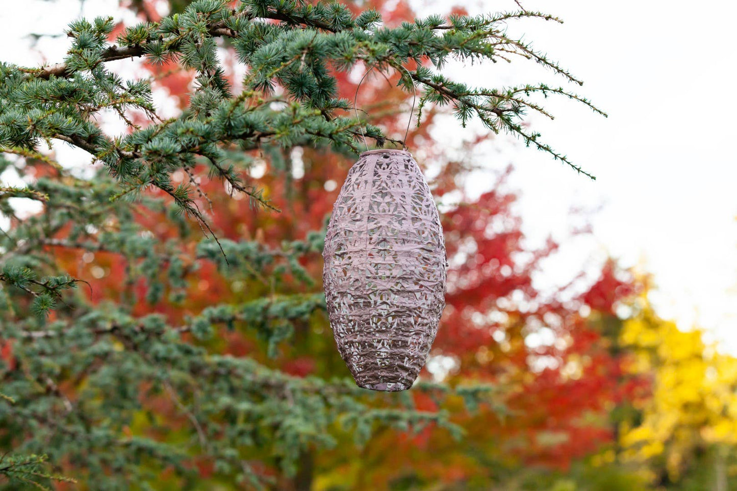 Stella Wildflower Pod Solar Lantern - Blush