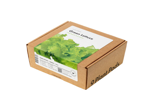 Green Lettuce Plant Pods 9-pack